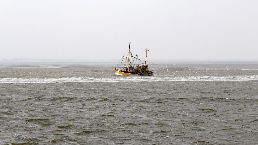 Ein Krabbenkutter auf der Nordsee Foto: Archiv