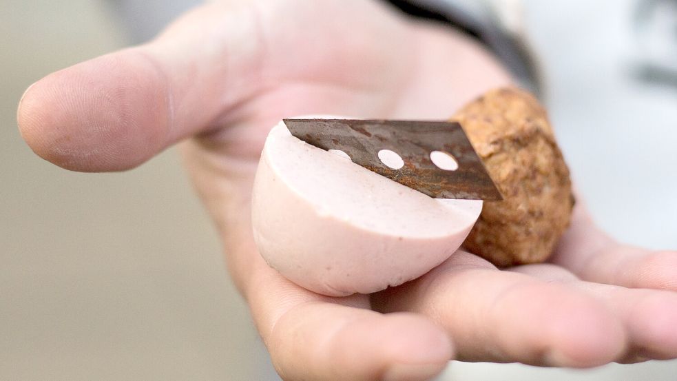 Eine mit einer Rasierklinge gespickte Wurst – neben Giftködern eine weitere Gefahr für Hunde. Symbolfoto: Marcel Kusch/dpa