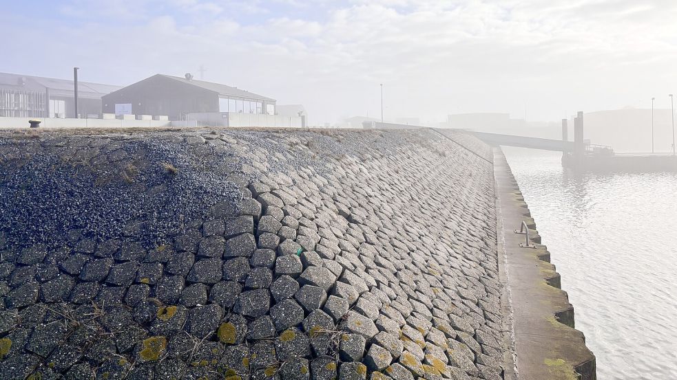 Richtung Hafenbecken soll hier die Freitreppe entstehen. Foto: Florian Ferber