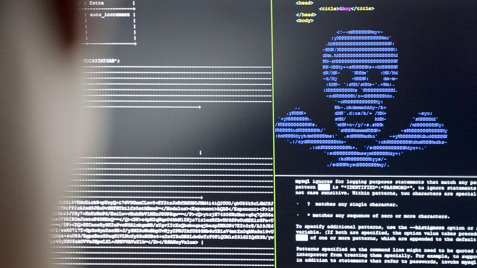 Wissenschaftler trainieren im Cybersicherheitszentrum, wie eingeschleuste Erpresser-Programme unschädlich gemacht werden können. Symbolfoto: Frank Rumpenhorst/dpa