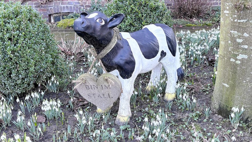 Vor dem Haus von Gesa Schröder in Schwittersum ist deutlich zu erkennen, woran es liegt, wenn einmal niemand auf das Klingeln reagiert. Foto: Nicole Böning