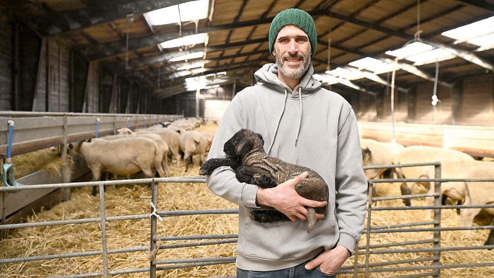 Martin Wuttge ist Deichschäfer in der Krummhörn. Auf dem Arm hält er ein vor wenigen Stunden geborenes Lamm. Foto: Heinz Wagenaar