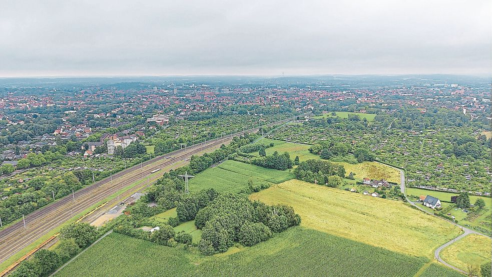 Der Rat der Stadt Osnabrück hat sich schon vor längerer Zeit den Schutz der Grünen Finger auf die Fahne geschrieben. Unser Bild zeigt den Hörner Bruch und seine Ausläufer. Foto: André Havergo