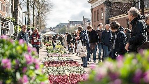Beet- und Zimmerpflanzen gibt es Karfreitag auf dem Blumenmarkt in Groningen ebenso zu kaufen wie Tulpen und andere Schnittblumen. Foto: Markt Kontoor/Archiv