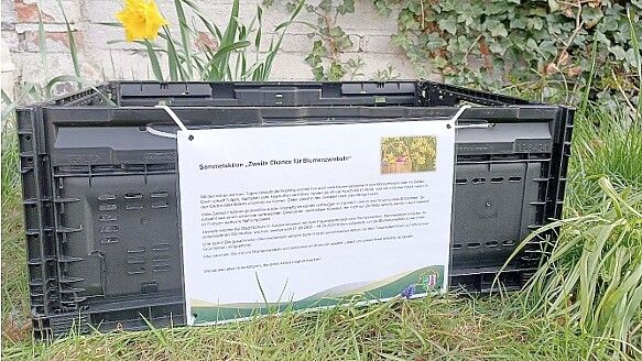 In so einer Kiste werden die Blumenzwiebeln gesammelt. Foto: Stadt Borkum