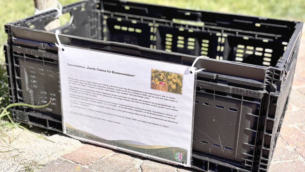 In so einer Kiste werden die Blumenzwiebeln gesammelt. Foto: Florian Ferber