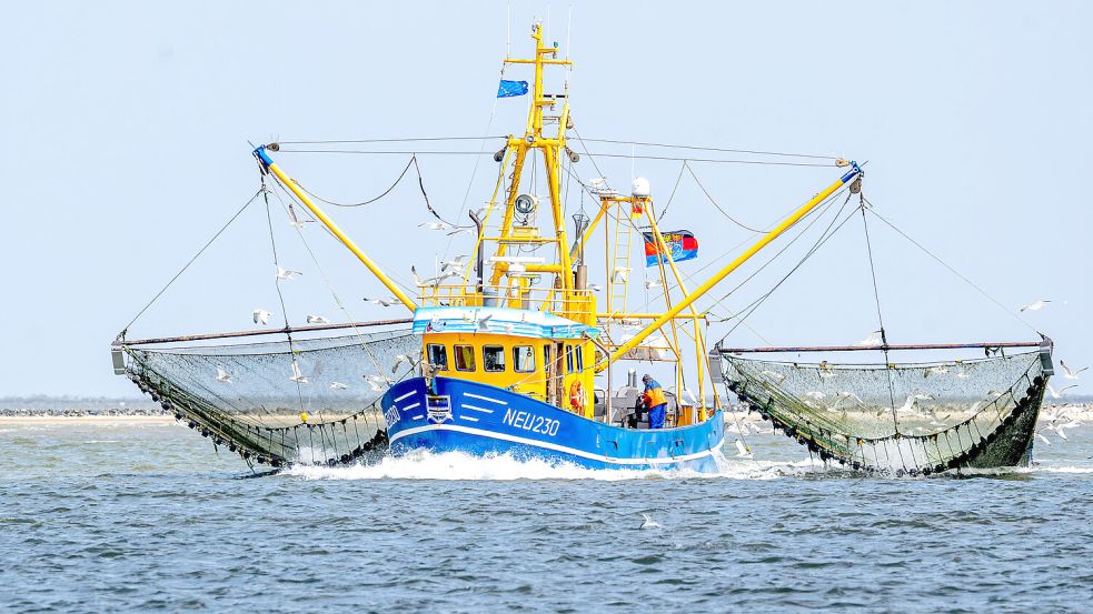 Krabbenkutter gehören zu Ostfriesland wie die Möwen und der Deich. Doch Vorschläge des WWF würden den Fischern die Lebensgrundlage entziehen. Foto: Sina Schuldt/dpa