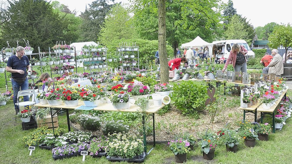 Rund um die Evenburg in Leer-Loga gibt es an diesem Wochenende einen Frühlingsmarkt mit vielen Ständen. Foto: Bodo Wolters/Archiv