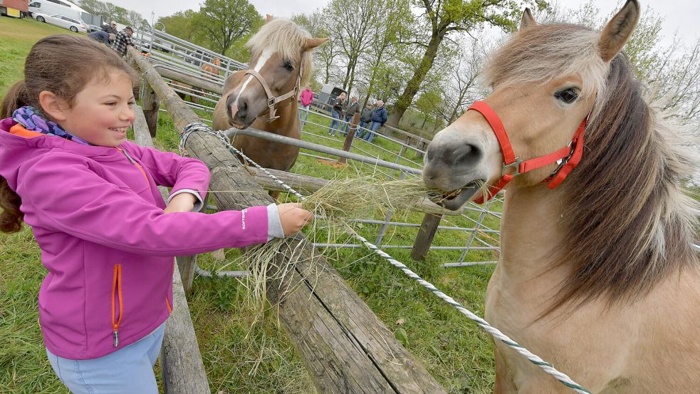 Am Freitag ist Bagbander Markt – und der Viehmarkt gehört traditionell dazu. Foto: Klaus Ortgies/Archiv