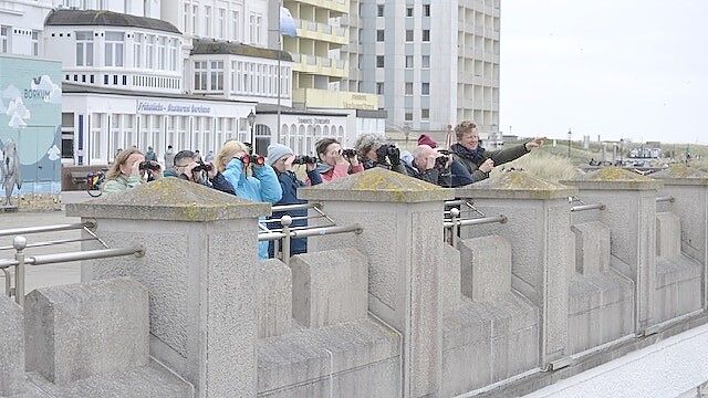 Die Umwelt- und Klimaschützer halten Ausschau am Borkumer Hauptstrand – auch symbolisch. Foto: Grüner Ortsverband Borkum