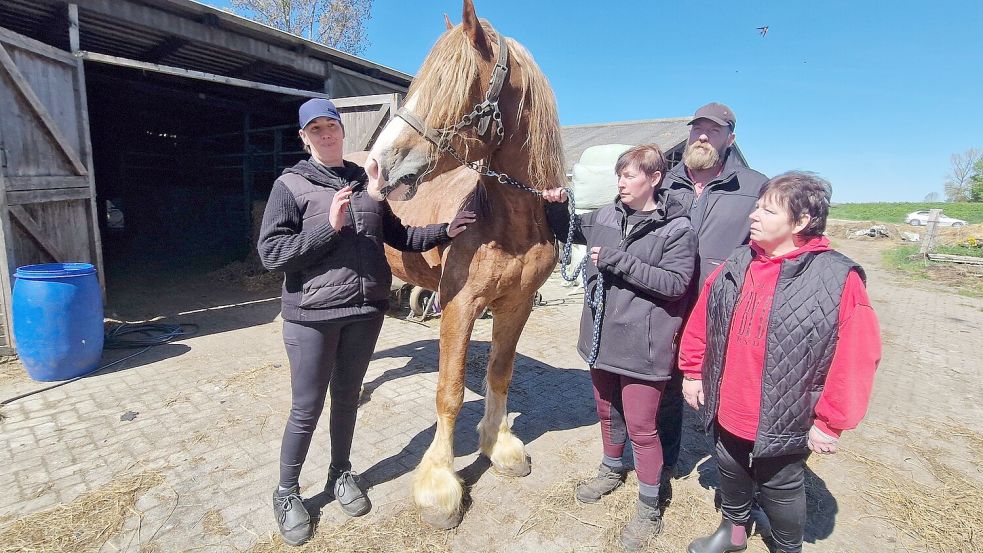 So groß der Schaden auch ist – Rebecca Blau, Myra Thiel, Benjamin Reents und ihre Mutter Uschi Rangen sind dankbar, dass bei dem Feuer keines ihrer Tiere zu Schaden gekommen ist. Foto: Tatjana Gettkowski