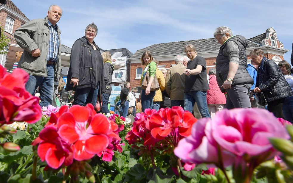 In Aurich ist am Sonntag, 3. Mai 2026, wieder der beliebte Geranienmarkt mit verkaufsoffenem Sonntag. Foto: Klaus Ortgies/Archiv