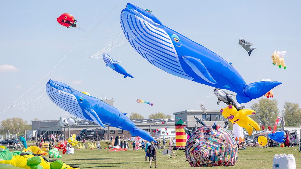 Der Himmel über Dornumersiel wird am langen Wochenende von bunten Drachen bevölkert sein – wenn das Wetter mitspielt. Foto: Tourismus GmbH Gemeinde Dornum