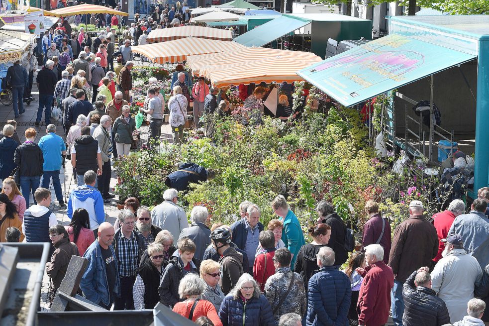 Der Geranienmarkt in Aurich steht bevor. Die Veranstalter hoffen auf gutes Wetter. Foto: Klaus Ortgies/Archiv