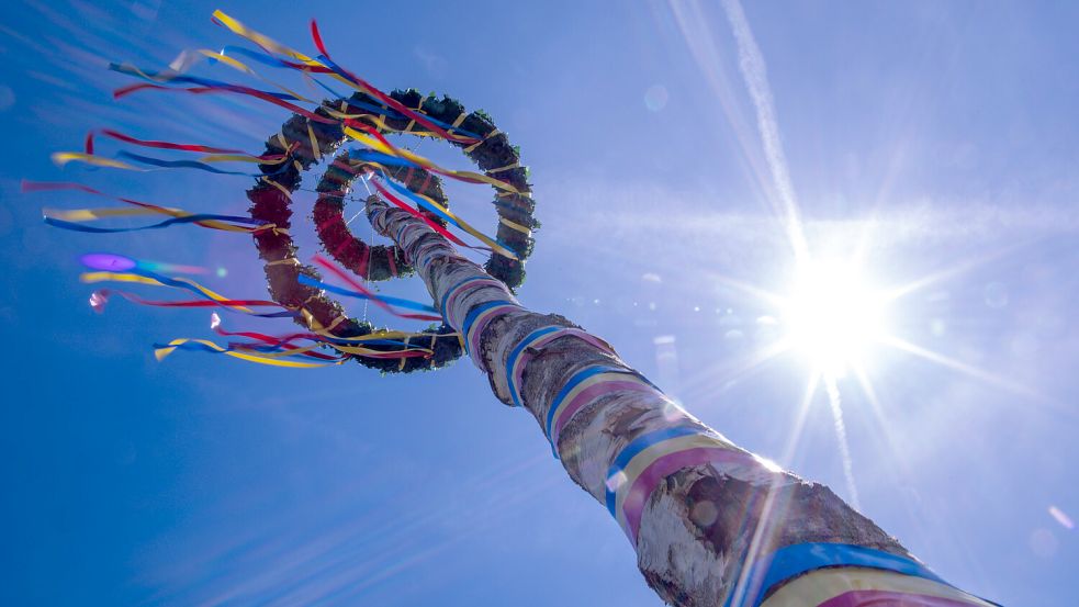 An etlichen Orten der Region wird an diesem Donnerstag wieder ein Maibaum gesetzt. Viele Veranstaltungen sind öffentlich, Besucher sind willkommen. Symbolfoto: Jens Büttner/DPA