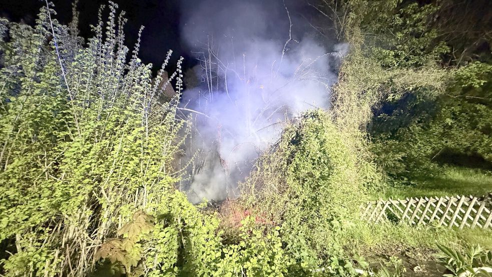 Auf dem Grundstück brannten Bäume und ein Gartenhaus. Foto: Feuerwehr