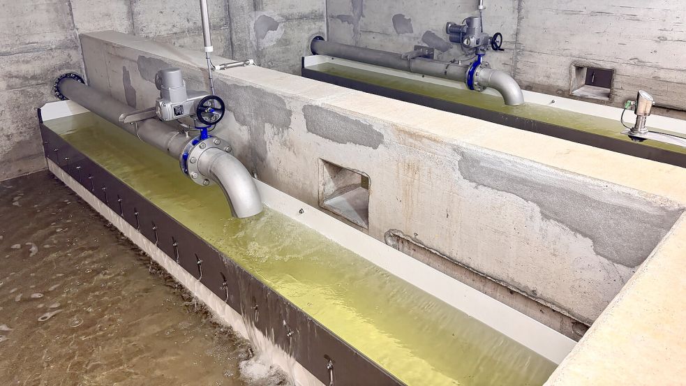 Bei der Filterung des Wassers sind zahlreiche, mit bloßem Auge natürlich nicht sichtbare Mikroorganismen im Einsatz. Foto: Florian Ferber