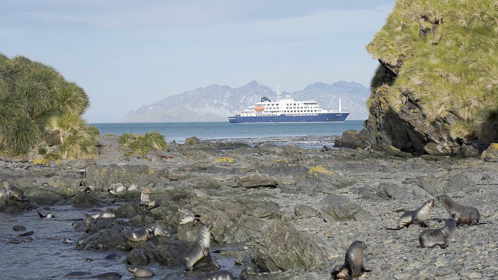 Die „MS Hondius“ kann rund 170 Passagiere aufnehmen und zählt etwa 70 Besatzungsmitglieder. Foto: IMAGO/Zoonar/Lothar Kurtze