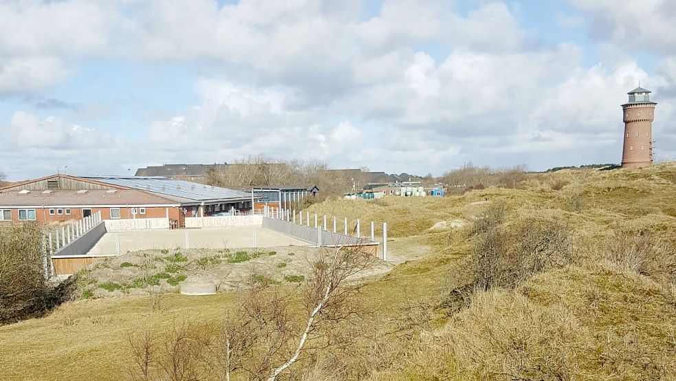 Die Reitanlage befindet sich in der Nähe des Borkumer Wasserturms. Foto: Borkumer Reiterverein