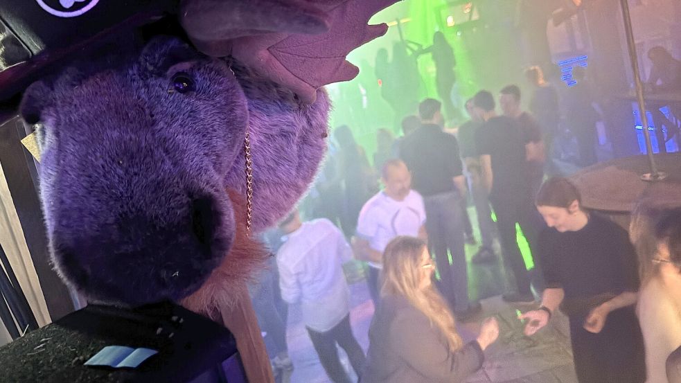 Der Elch ist das Maskottchen der Fetenscheune und überall in der Disco zu finden. Foto: Dirk Hellmers/Archiv