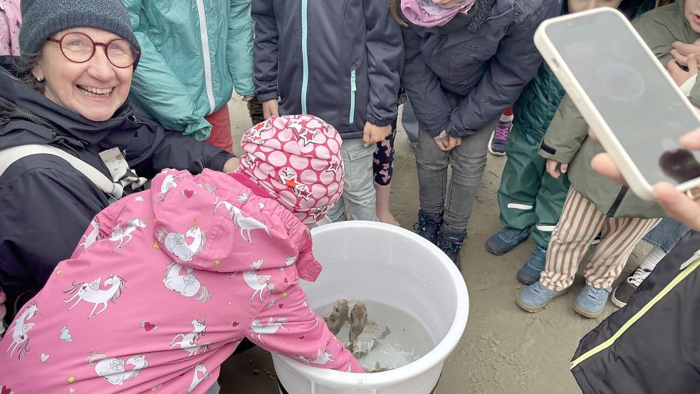 Kurz vor der Aussetzung durften sich nochmal alle Paten von den Katzenhaien verabschieden. Foto: Madita Janßen