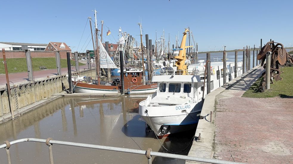 Der Hafen in Ditzum ist historisch gewachsen. Da kann es schon mal eng werden. Foto: Oliver Bär