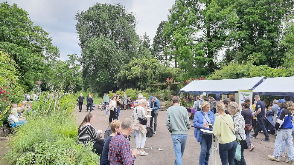 An Pflanzen, Tieren und Natur Interessierte sind auch in diesem Jahr wieder zum Schautag des Botanischen Gartens eingeladen (hier ein Foto vom Schautag 2024). Foto: Universität Oldenburg / Henning Kulbarsch