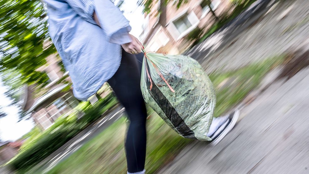 Jetzt aber schnell, die Entsorger kommen: Mit dem Grünabfallsack an die Straße in Leer. Aber was darf rein, was nicht - und warum? Foto: Klaus Ortgies