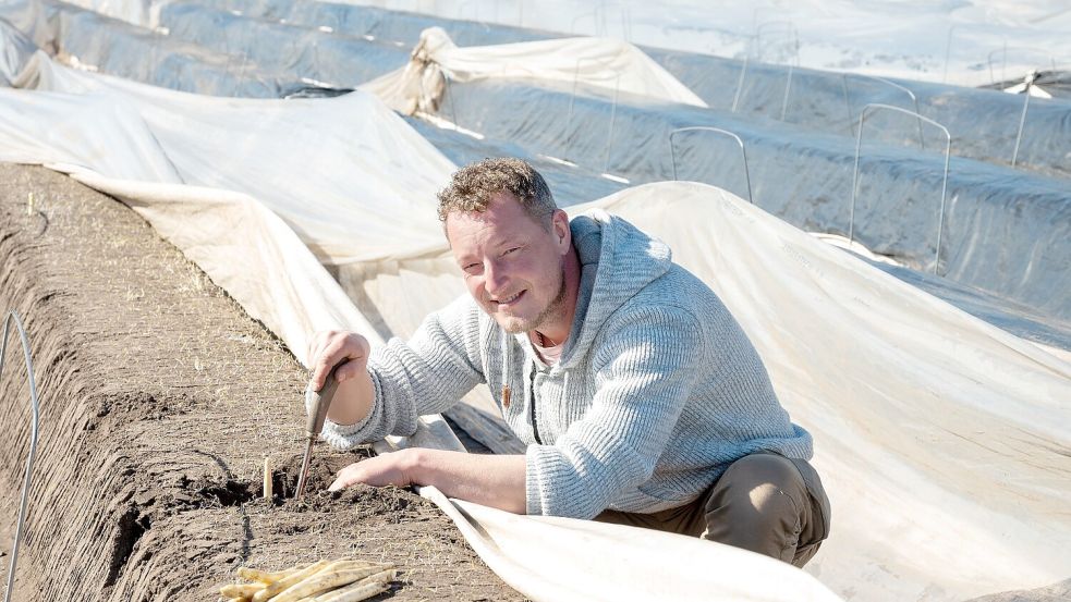 Im April hat Janno Schmid den ersten Spargel gestochen. Am Mittwoch, 24. Juni 2026, ist die Saison offiziell zu Ende gegangen. Foto: Klaus Ortgies/Archiv