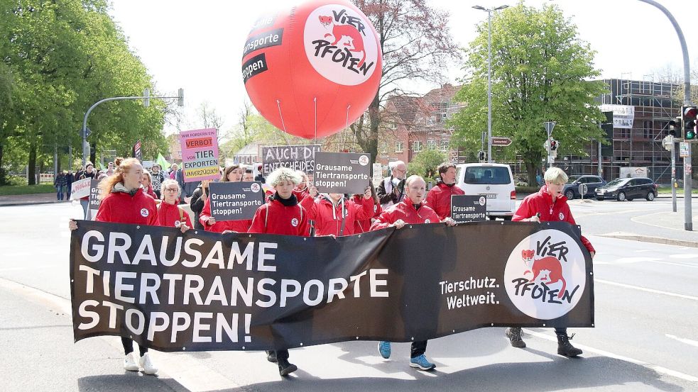 Seit einigen Jahren rufen Tierschutzverbände zu großen Demonstrationen gegen Tiertransporte in Aurich auf. Foto: Karin Böhmer/Archiv
