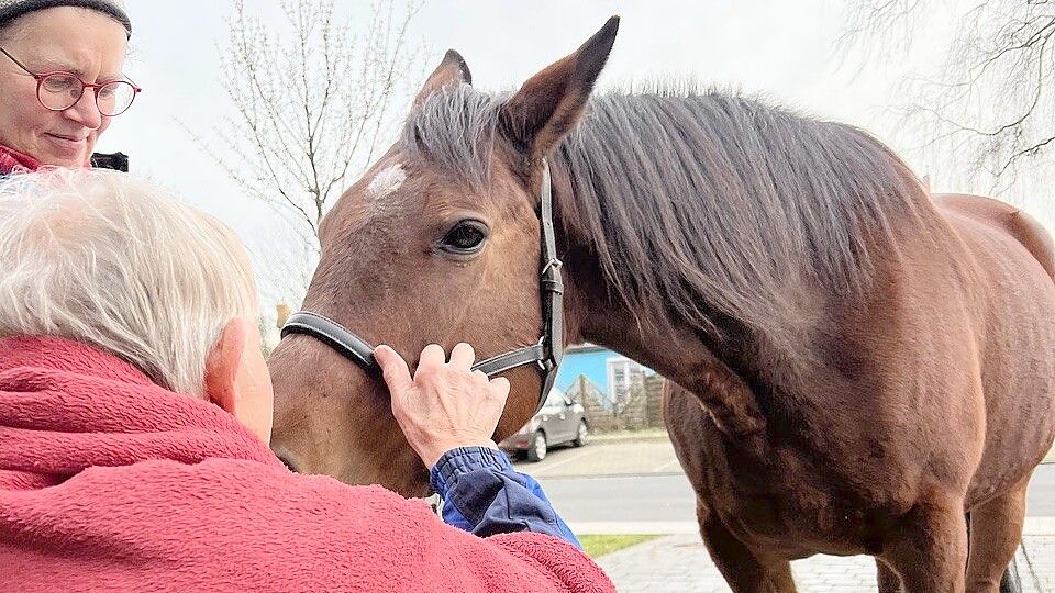 „Die Tiere sind so fein“ – Regina Meinen schenkt mit ihrem Pferd einem Hospizgast schöne Momente. Foto: privat