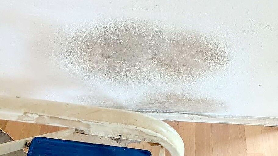 Was tun, wenn sich in der Wohnung Schimmel bildet? Foto: privat