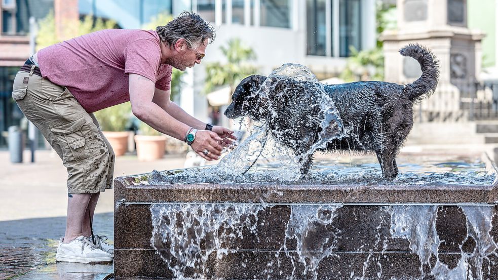Am Mittwoch und Donnerstag wird es heiß in Ostfriesland. Die 30-Grad-Marke wird wahrscheinlich gerissen. Da wird Abkühlung wieder gut tun. Symbolbild: Klaus Ortgies/Archiv