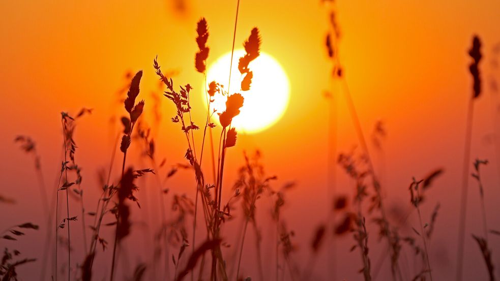 Die aufgehende Sonne färbt den Himmel in ein warmes orange: Am Wochenende wird es erneut heiß in Ostfriesland. Foto: Matthias Bein/dpa