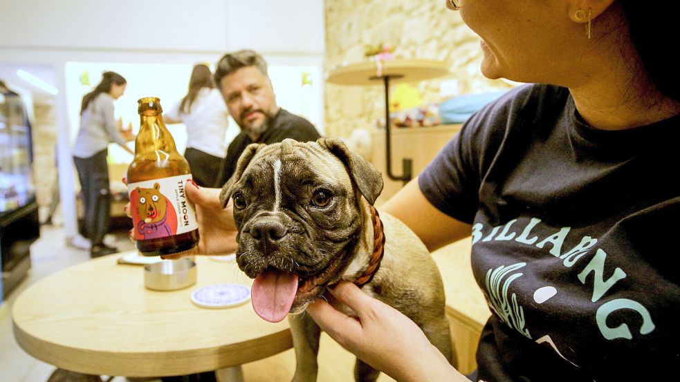 Ein Hund sitzt auf dem Schoß seiner Besitzerin in einem Café. In Greetsiel sind beim Fischrestaurant de Beer nun keine Hunde mehr erlaubt. Symbolfoto: Marwan Naamani/picture alliance/dpa