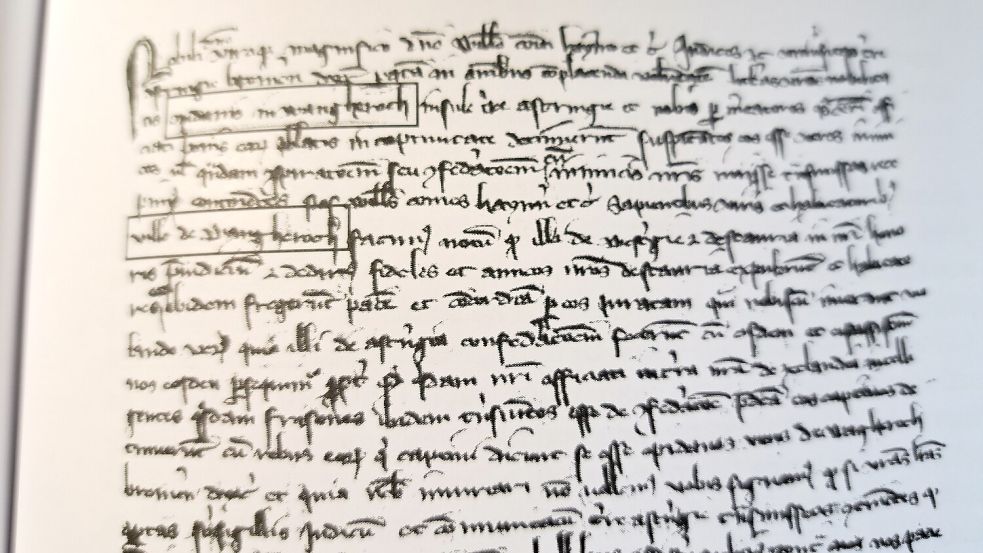 Dieser Brief des Bremer Domkapitels aus dem Jahr 1327 hebt „Wangheroch“ aus dem Dunkel der Geschichte (dritte und siebte Zeile des Auszuges). Repro: Theo Kruse