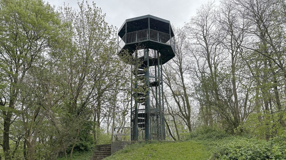 Sanierung zu teuer: Der Aussichtsturm auf dem Dockberg wird abgerissen. Foto: Archiv/Oliver Bär
