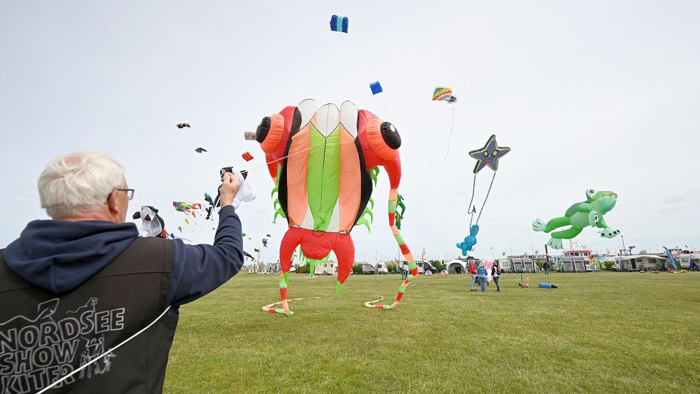 In Dangast ist am Wochenende ein Drachenfest. Symbolfoto: Lars Penning/DPA