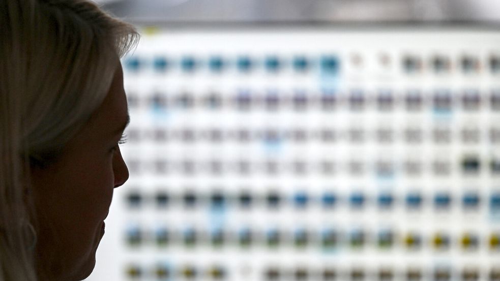 Die Ermittler sichten Tausende Dateien auf der Suche nach Kinder- und Jugendpornografie. Symbolfoto: Arne Dedert/DPA