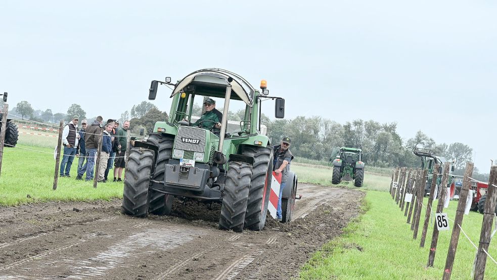 Viele Oldtimer-Traktoren in Rysum: Beim Bremswagenziehen in Rysum traten historische Schlepper in verschiedenen Leistungsklassen an. Foto: Heinz Wagenaar