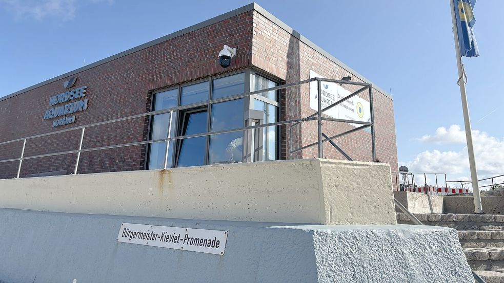 Im Borkumer Nordsee-Aquarium wird die Nordseewelt erlebbar. Foto: Florian Ferber