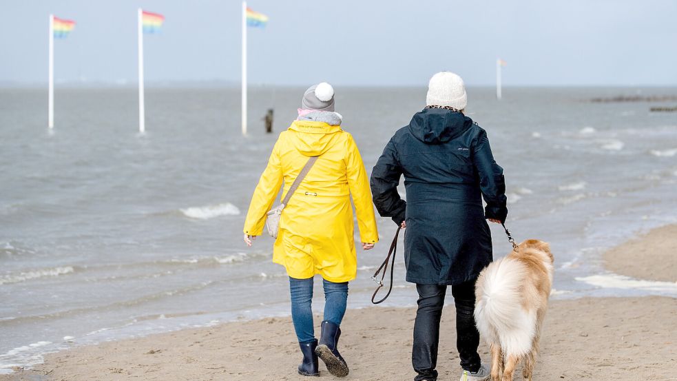 Am Wochenende weht in Ostfriesland ein teilweise sogar stürmischer Wind. Symbolfoto: Hauke-Christian Dittrich/dpa