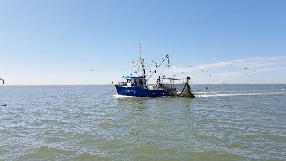 Ein Krabbenkutter im Wattenmeer: Fanggründe abgeben zu müssen, ist für die Fischerei immer bitter. Foto: Melanie Hanz